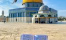 A Jewish prayer on the Temple Mount in Jerusalem (Photo: Noam Chen via Twitter)